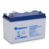 12-Volt 100AH Deep Cycle Hybrid Gel Battery by Renogy