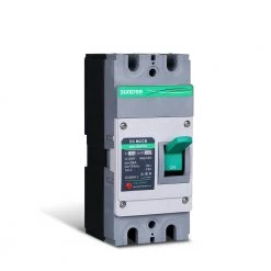160A 2P DC Molded Case Circuit Breaker by Renogy